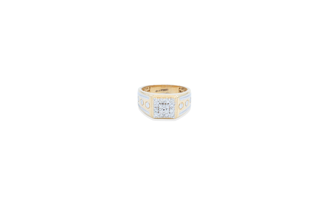 Terra Men's Diamond Ring
